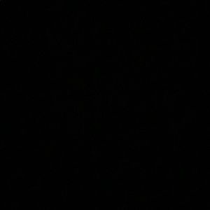 Meet your Posher, Alaia